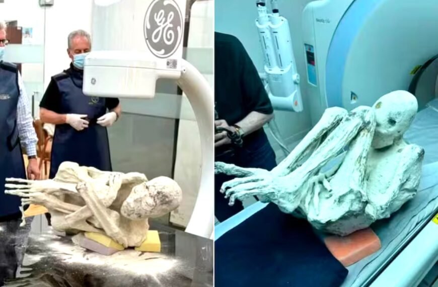 Someten a las momias “extraterrestres” descubiertas en Perú a una prueba de autenticidad valuada en 300 millones de dólares