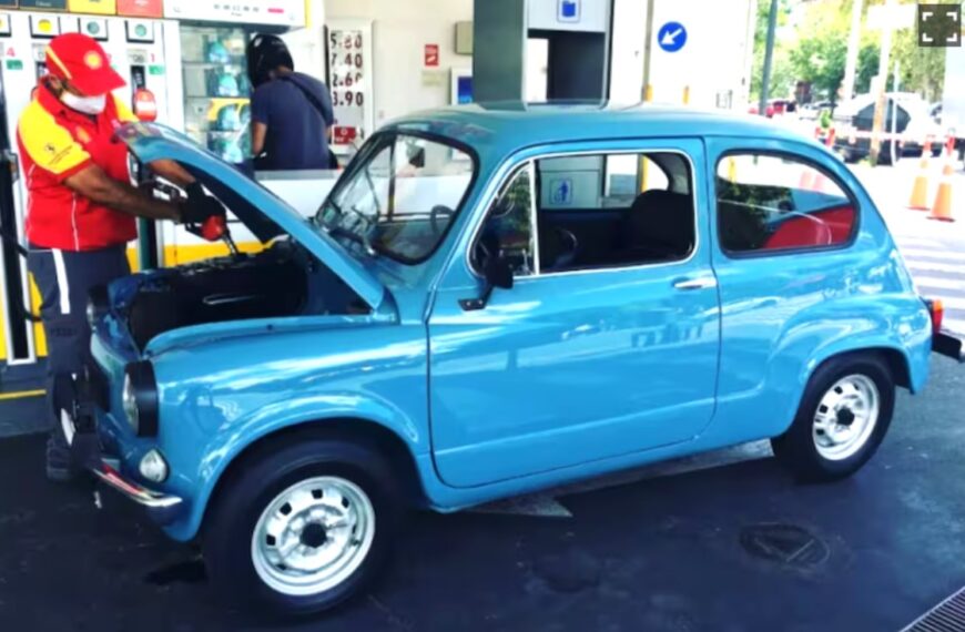 ¿Tenés uno?, esta es la millonaria cifra de venta de un Fiat 600 restaurado en Argentina