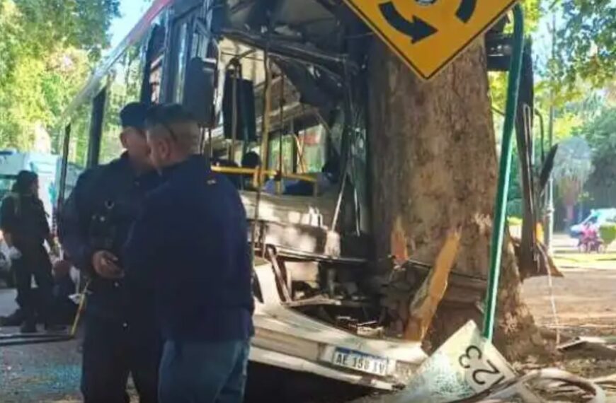 “No los voy a dejar morir”: el grito desesperado, antes de fallecer, del chofer a los pasajeros del micro que se accidentó en el Parque